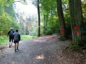  Blick auf die Wanderstrecke 